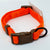 Dog Collars - Buckle type (Will suit cats too!)