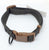 Dog Collars - Buckle type (Will suit cats too!)